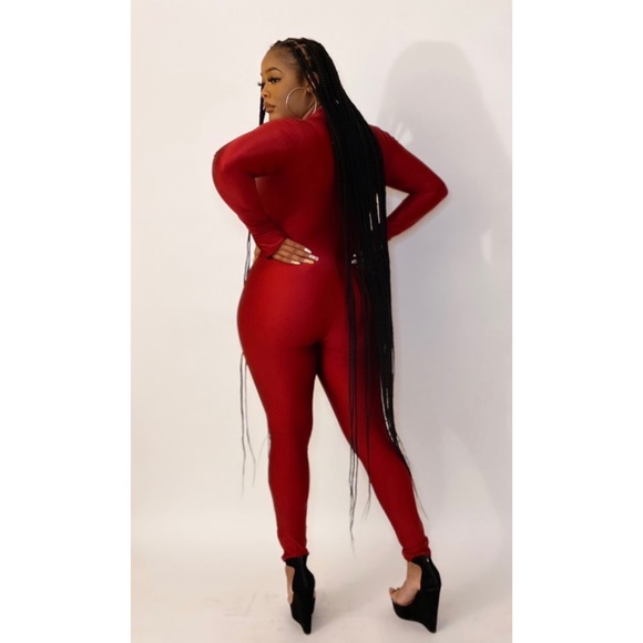 Shiny Jersey Jumpsuit with Front Zipper - Picture 2 of 2